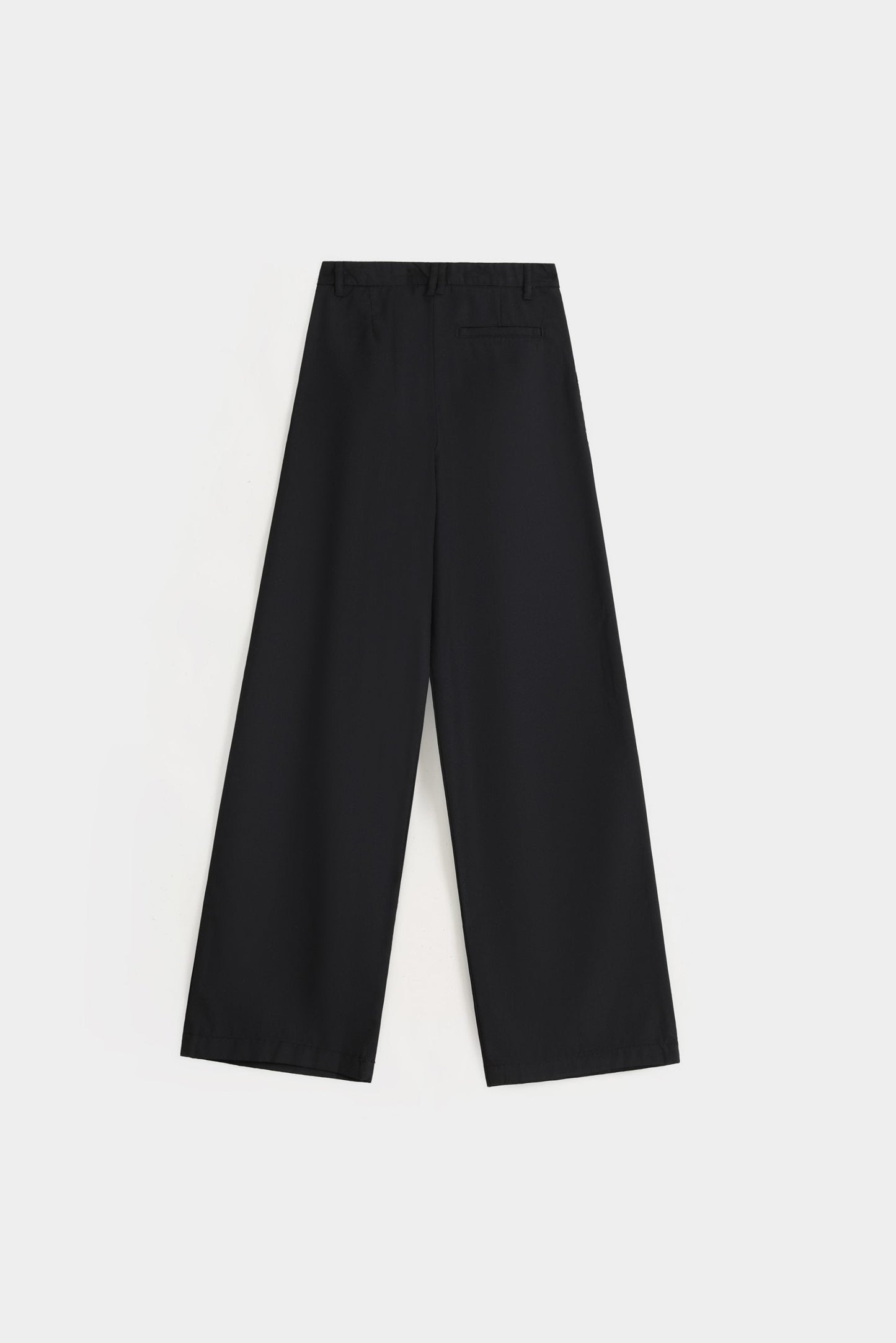 Pleated Baggy Pants