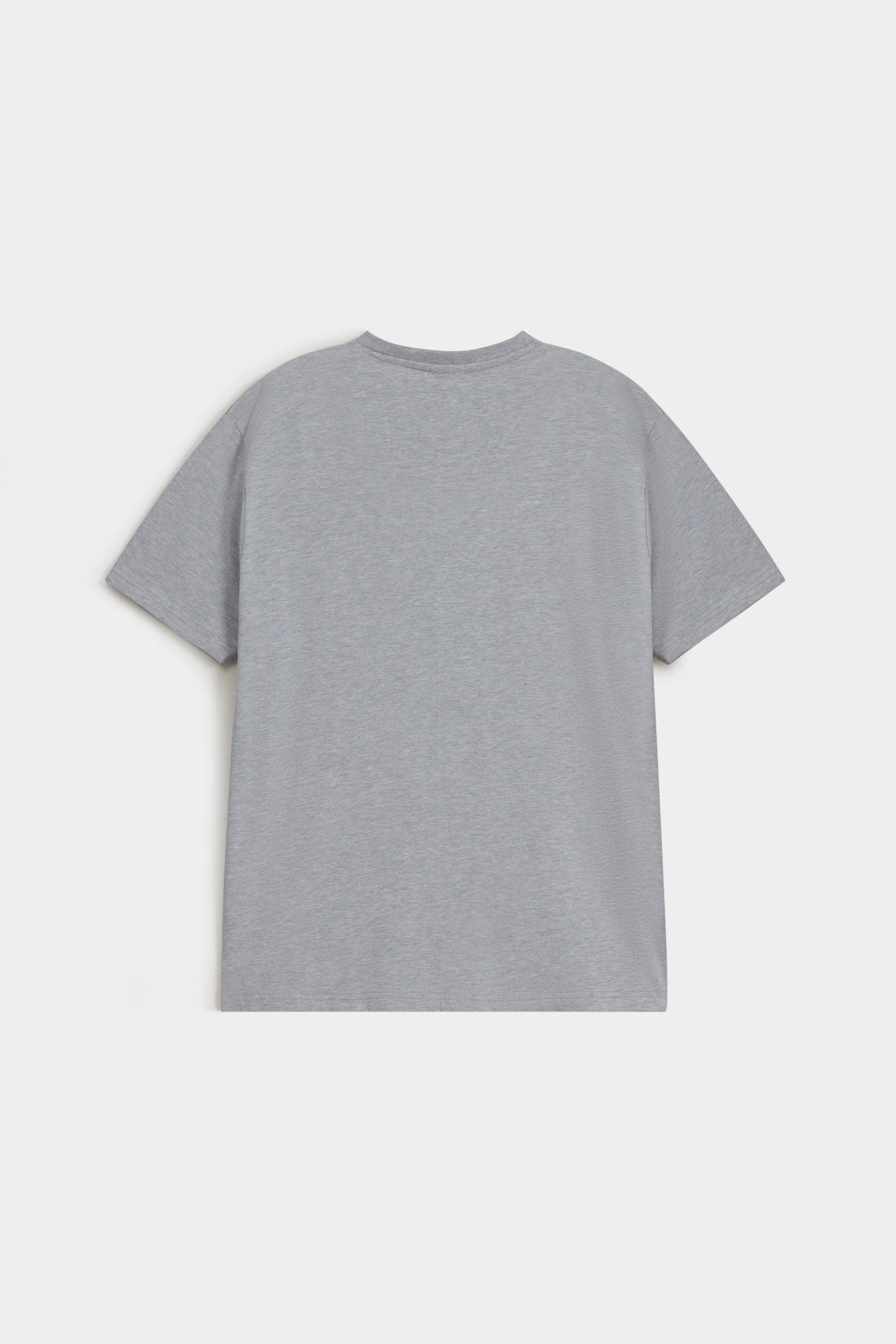 Basic V Neck T-shirt