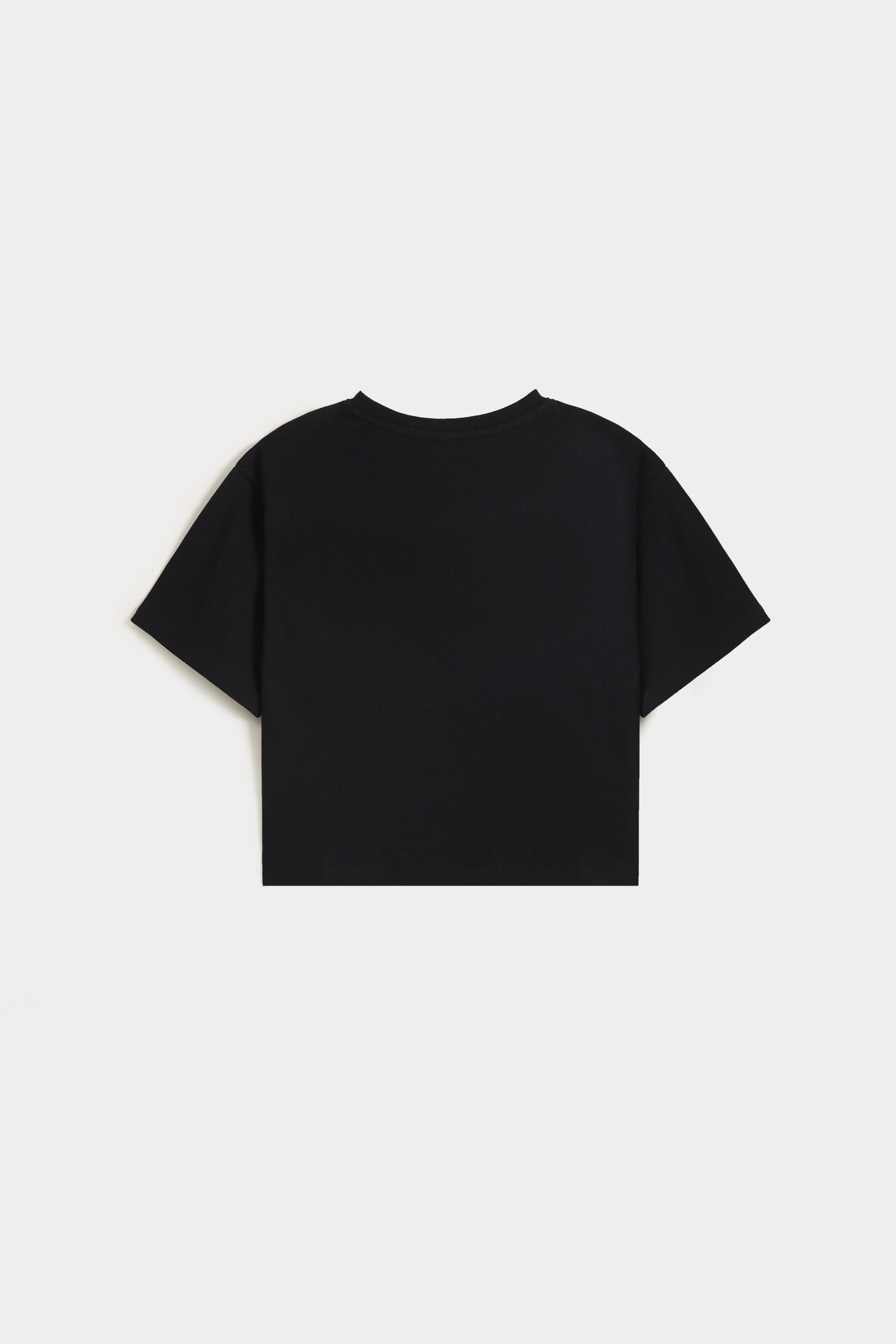 Embroidered Cropped T-Shirt