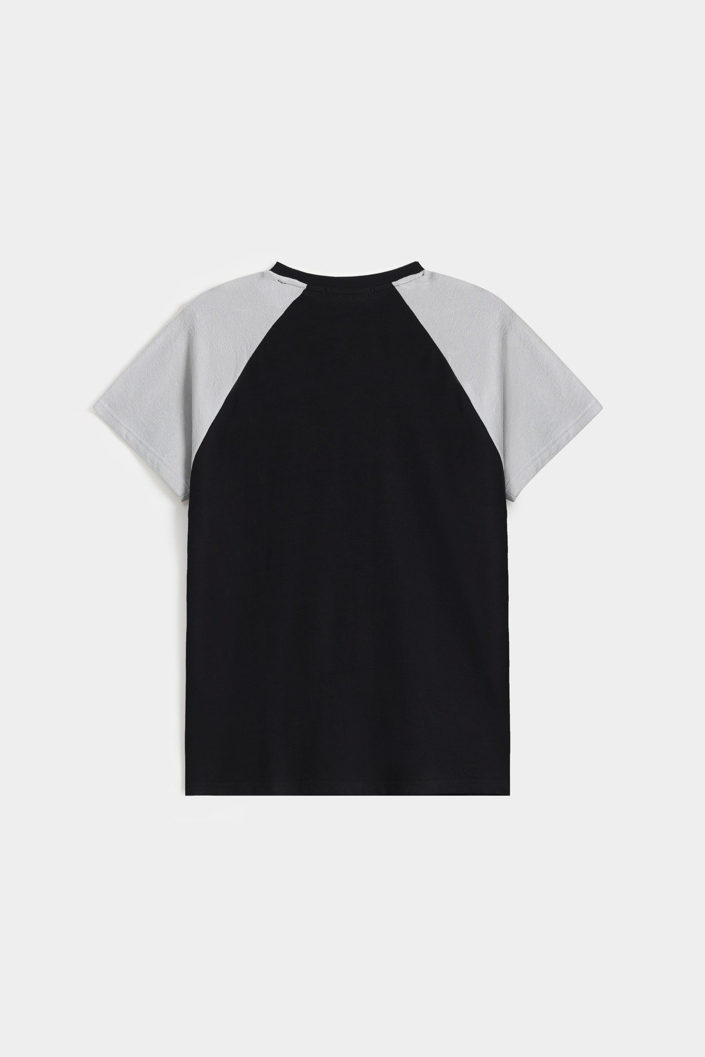 Color Block Raglan T-shirt
